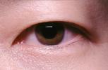 Eyeball, Iris, Lens, Pupil, Eyelash, Cornea, Sclera, Man, Male, skin, Eye Brow, Eyebrow, asian