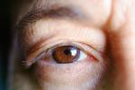 Eyeball, Iris, Lens, Pupil, Cornea, Sclera, Man, Male, skin, Eye Brow, Eyebrow, Eyelash, PACV02P11_02