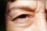 Eyeball, Iris, Lens, Pupil, Cornea, Sclera, Woma, Female, Eye Brow, Eyebrow, Eyelash, skin, PACV02P11_04C