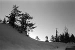 Human Figure, Trees, Ice, Snow, PAFPCD0655_066