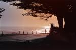 Pacific Ocean, Trees, road, Santa Cruz, PAFPCD0658_136B