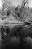 water, pond, lake, reflection, trees, Humboldt County, PAFPCD0664_010