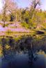 water, pond, lake, reflection, trees, Humboldt County, PAFPCD0664_010B