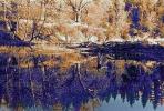 water, pond, lake, reflection, Humboldt County, PAFPCD0664_012B