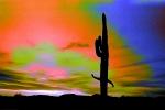 our psycheelic faith of the light being, Saguaro Cactus, Arizona, psyscape, PAFPCD3344_077B