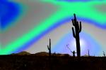 Saguaro Cactus, Arizona, psyscape, PAFPCD3344_098B