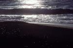 Point Reyes National Seashore, PAFV02P08_17