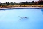 Swimming Pool, Port Washington, Long Island, New York, PAFV03P06_03