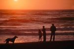 waves, beach, dog, people silhouette, People walking, sand, Pacific Ocean, sunset, PAFV07P07_17.2677