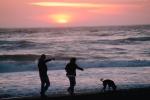 waves, beach, dog, people silhouette, People walking, sand, Pacific Ocean, sunset