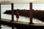 Dock, Nicks Cove, Pier, jetty, Tomales Bay, Marin County, California, PAFV07P08_07