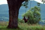 Woman on a Tree Swing, Mountains, Trees, Swinging