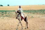 Man on a Camel in the Arid Desert, PBAV01P06_05