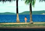 Little Boy Walking, Palm trees