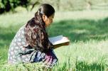 Woman Reading a Book Outdoors, PBAV01P14_16