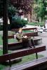 Man sitting on a park bench, PBAV02P05_01