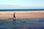 Boy walking on a Beach, Sand, Ocean, Water, Fog, PBAV02P06_19