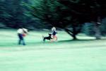 Family Running, fun, joy, PBTV01P02_15