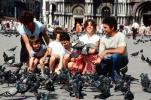 pigeons, Saint Marks Square, Venice, PBTV01P14_06