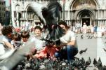 pigeons, Saint Marks Square, Venice, PBTV01P14_07