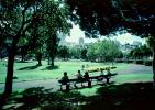 Park Bench, sunny day, daytime, trees, Washington Square, North-Beach, PBTV02P06_01