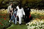 Students in the park, flowers, tulips, PBTV03P14_09