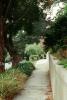 Path, Sidewalk, Trees, PBTV04P06_14