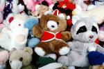 Teddybear, Stuffed Animals, Raccoon, PCDV01P13_04