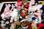Stuffed Animals, Teddybear, PCDV01P13_07