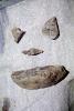 stone face with stone lips, pareidolia