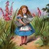 Alice in Wonderland, PCLV01P01_05