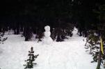 smiling snowman in the snowy forest, PCSV01P02_14