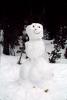 smiling snowman in the snowy forest, PCSV01P02_15