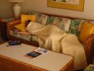Woman, Sleeping, Couch, Sofa, Table, Pillows, PDBD01_015