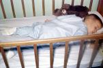 Sleeping Boy, Crib, Sleeping, Blanket, Socks, PDBV01P12_16