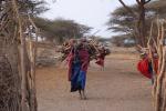 Woman, labor, Firewood, deforestation, desertification, Maasai village, Tanzania, PDCD01_001