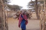 Woman, labor, Firewood, deforestation, desertification, Maasai village, Tanzania, PDCD01_002