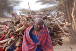 Woman, labor, Firewood, deforestation, desertification, Maasai village, Tanzania, PDCD01_003