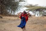 Woman, labor, Firewood, deforestation, desertification, Maasai village, Tanzania, PDCD01_007