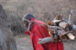 Woman, labor, Firewood, deforestation, desertification, Maasai village, Tanzania, PDCD01_011