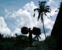 Man, wheat bushels, palm tree, clouds, Ubud, Bali, Indonesia