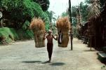 Man, sari, wheat bushels, Ubud, Bali, Indonesia, PDCV01P01_05