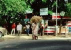 Woman Carries a Heavy Load on her Head, Ahmedabad, Gujarat
