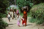 Woman Carrying a bushel, Boral Village, Gujarat, PDCV01P03_07