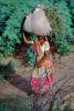 Woman Carrying a bushel, PDCV01P04_02