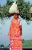 Woman Carrying a bushel, PDCV01P04_08