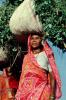 Woman Carrying a bushel, PDCV01P04_13