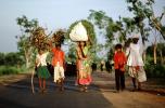 India, Child-Labor, PDCV01P05_08