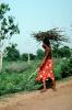 Girl Carrying Firewood, Desertification, wood bundle, twigs, Child-Labor, PDCV01P05_14