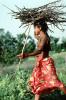 Girl Carrying Firewood, Desertification, wood bundle, twigs, Child-Labor, PDCV01P05_15